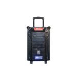 ProOne PSB4955 Trolley Speaker