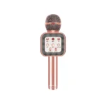 ProOne PMB66 Karaoke Microphone